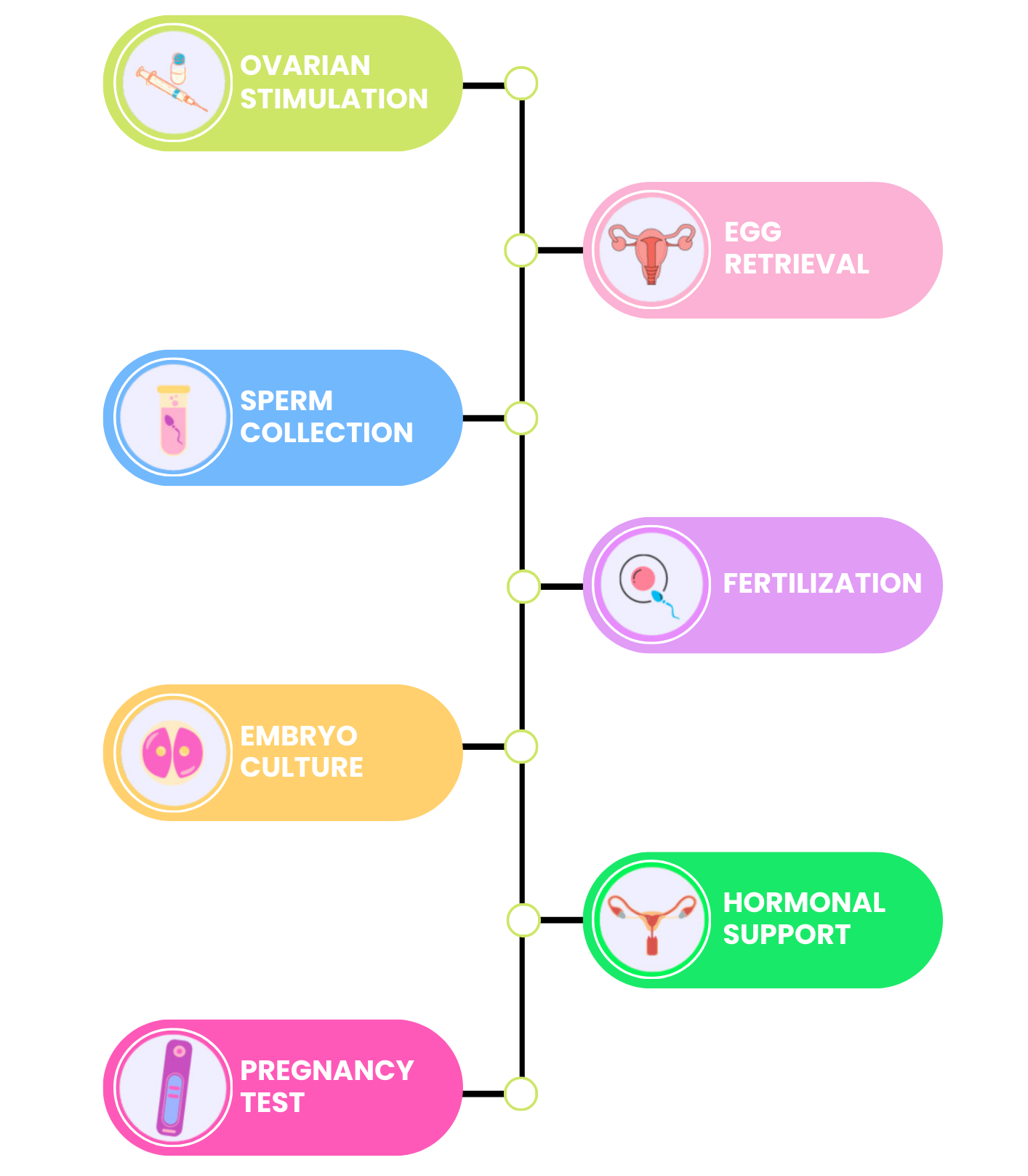 IVF process Step by step